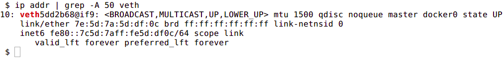 virtual ethernet of bridge network